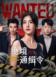 绝境通缉令